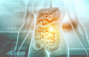 Gut Feeling: How Herbal Supplements Can Improve Digestion