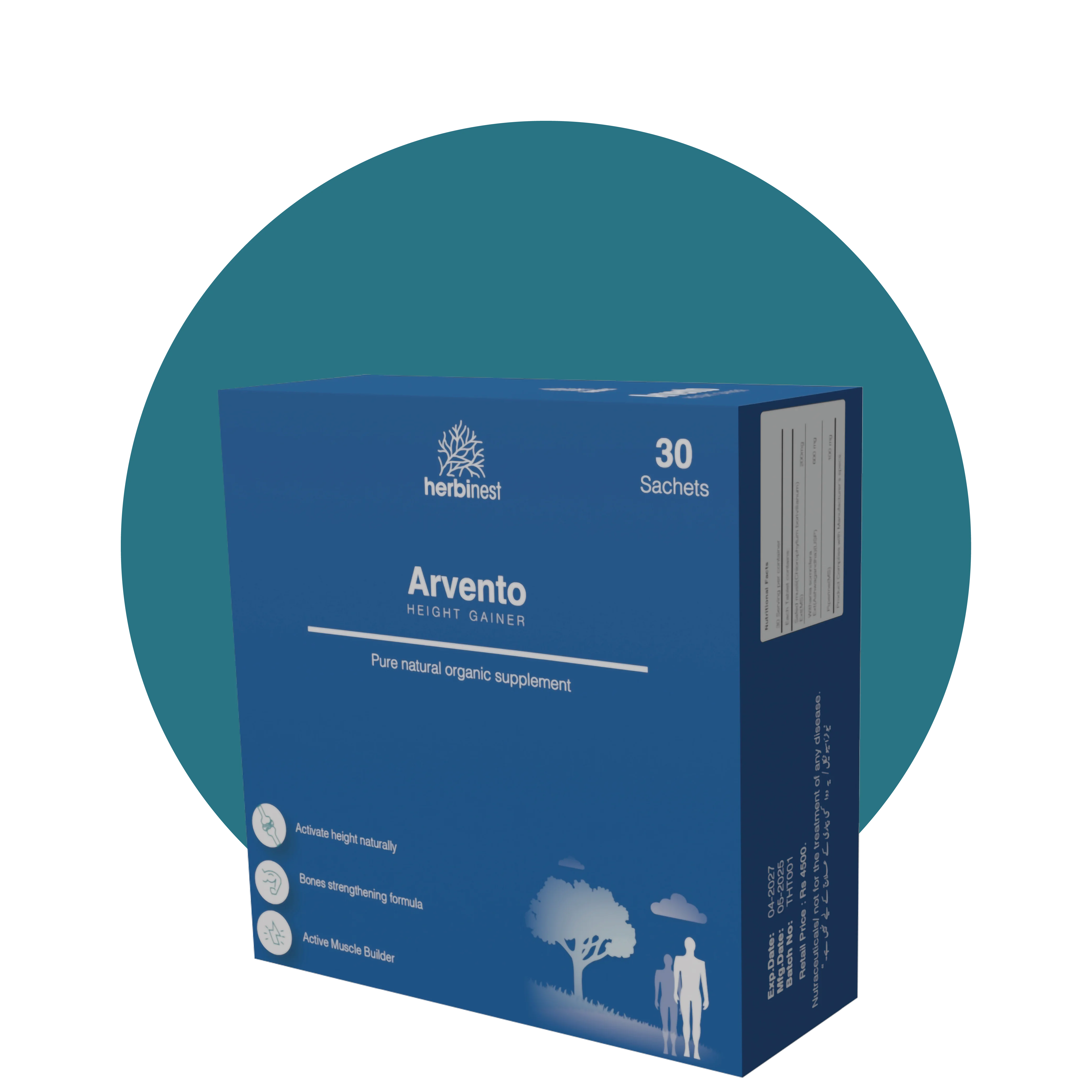 Arvento Height Gainer