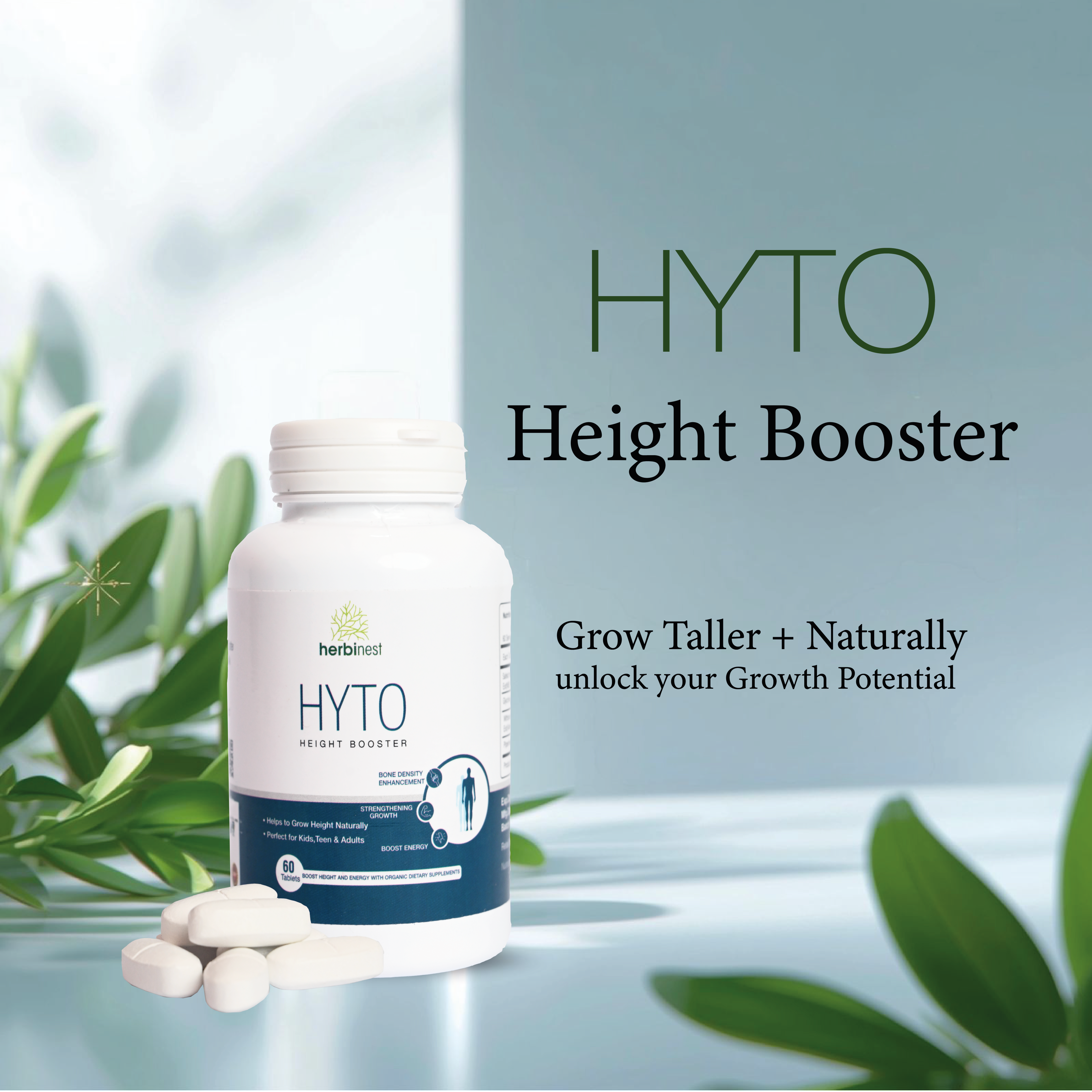 Pack of 2 Hyto (Height Booster)